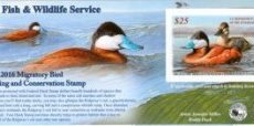 7Hunt-Ducks-Me-Fed Duck Stamp-2015