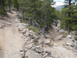 After climbing the ridge,  the trail cuts into the heart of the mountain where a series of switchbacks gently ascend.