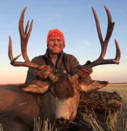 alberta canada mule deer hunting