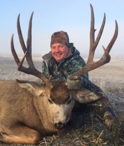 Alberta mule deer hunting