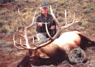 arizona elk outfitters - arizona elk guides - arizona elk hunts - arizona elk - elk hunts in arizona - elk outfitters in arizona - elk guides in arizona