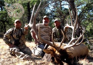 arizona elk outfitters - arizona elk guides - arizona elk hunts - arizona elk - elk hunts in arizona - elk outfitters in arizona - elk guides in arizona