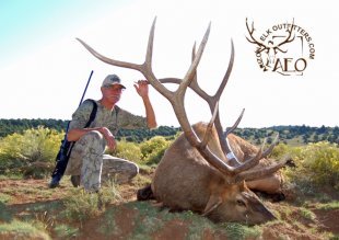 arizona elk outfitters - arizona elk guides - arizona elk hunts - arizona elk - elk hunts in arizona - elk outfitters in arizona - elk guides in arizona