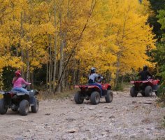 ATV rides