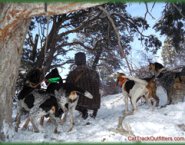 Black Bear & Mountain Lion (cougar, cat) hunting in Western Colorado - Collbran CO