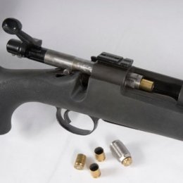 Bolt Action - Elk Hunting Rifle