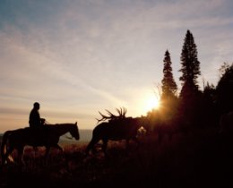 Clip from the Movie the Trembling Giant