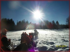 CO mountain lion hunting