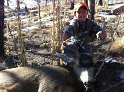 colorado big game hunting