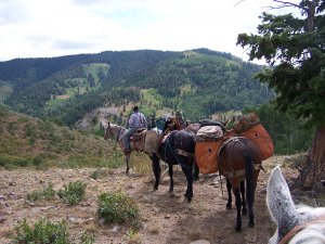 Colorado drop camp