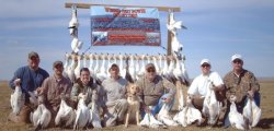 Colorado Spring Snow Goose Hunting - HuntTheNorth.com