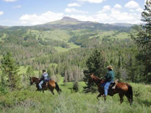 Crossing wooded area during a horse pack trip.