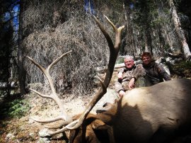 Elk Hunting in Colorado