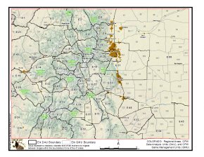 elk hunting statistics