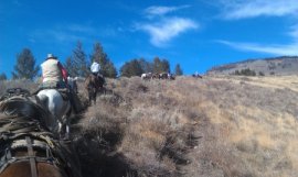 Flat Tops First Season Elk Hunt