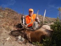 George's First Colorado Bull Elk
