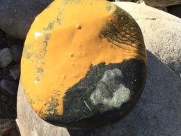 gold mine spill, Colorado