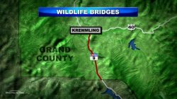 highway 9 improvements wildlife bridges Cameras Show New Highway 9 Wildlife Overpass Is An Early Success