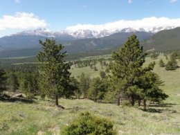 Hiking along the ridge offers stunning views to the south that include Moraine Park and Longs Peak.