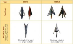 Illustration of which barbed broadheads are legal.