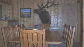 Loco Mountain Lodge Dining Room
