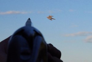 Maintaining a lead is important when shooting doves. Photo by Jerry Neal (CPW)