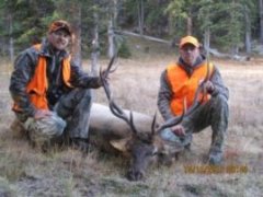 Mike's Great 5x5 Colorado Bull Elk