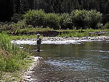 Montana fly fishing without Montana fishing guides