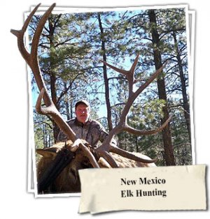 New Mexico Elk Hunting