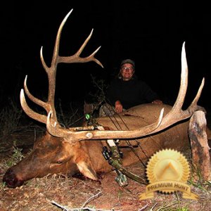 New Mexico Elk Tags with Landowner Tag Included in the Price of the Hunt
