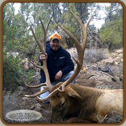 Nick also gets a wallhanger trophy 6x6 Bull Elk with Silver Peaks Outfitters