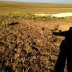 Antelope hunting in Colorado