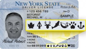 sample DMV driver license with lifetime icons