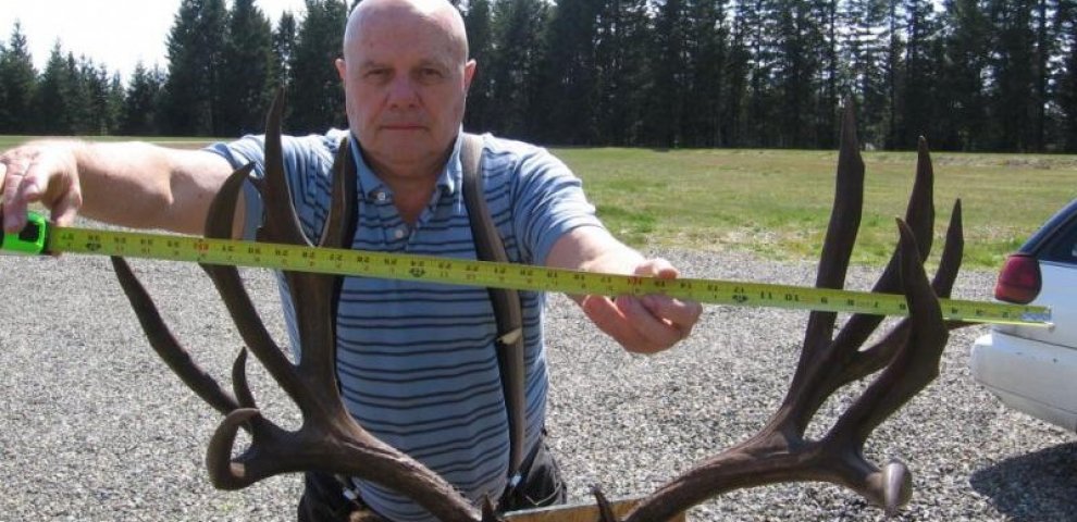 200 inch Mule Deer