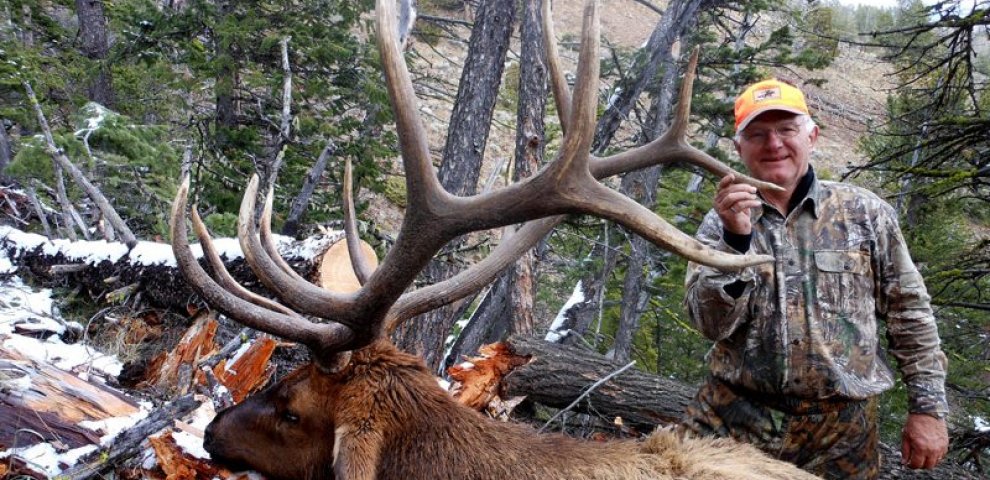 Affordable Elk hunts