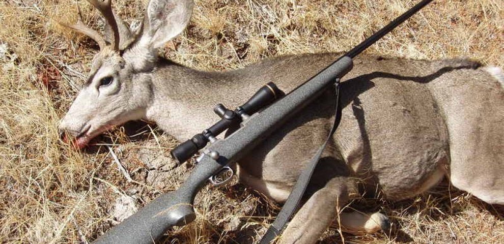 Best gun for hunting elk