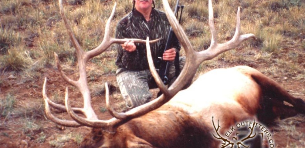 Best Rifles for Elk hunting