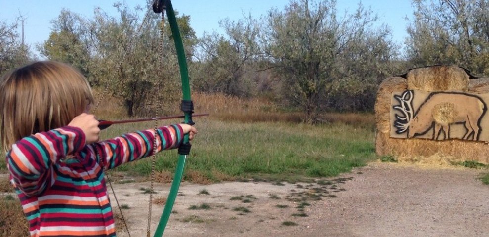 Bowhunting Elk Colorado