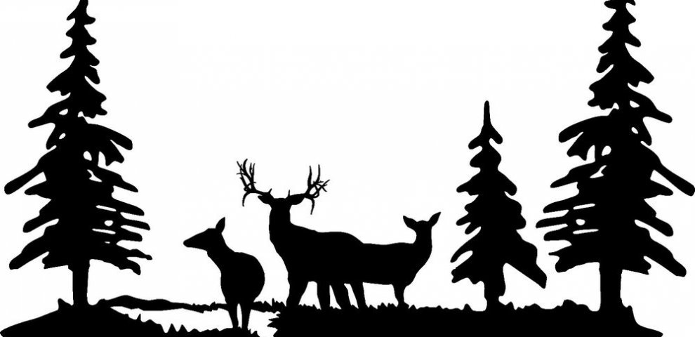 Cheap Mule Deer hunts