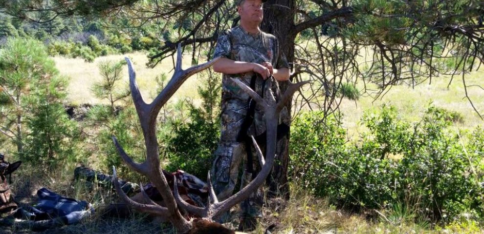 Colorado elk hunting license