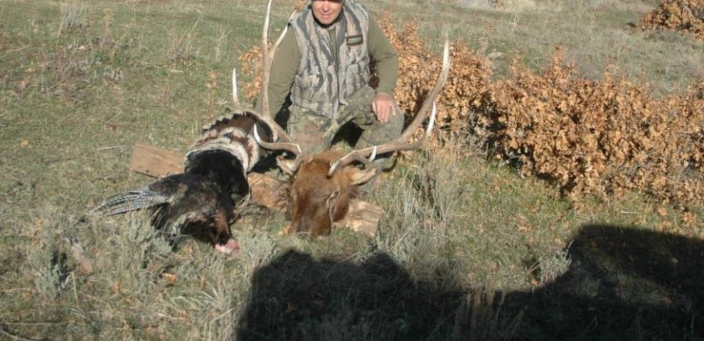 Colorado hunting license fees
