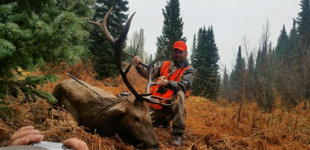 Elk hunting rifle Colorado