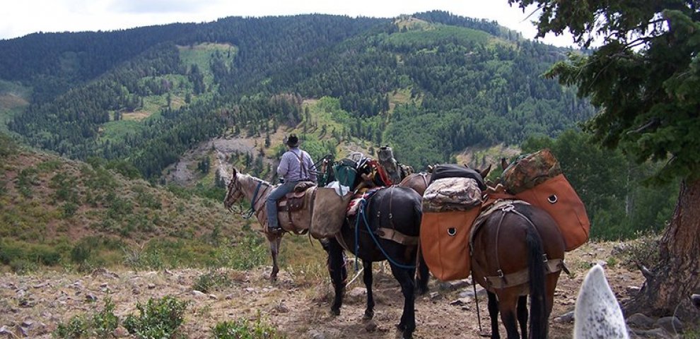 Western Colorado Outfitters