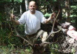 Steve Green Bull Elk
