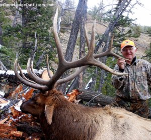 Affordable Elk hunts