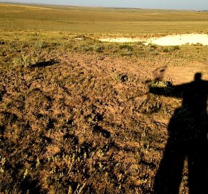 Antelope hunting in Colorado