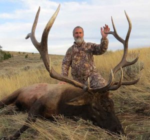 Best Elk hunting Outfitters