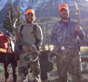 Best Elk Outfitters in Colorado