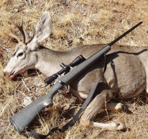 Best gun for hunting elk