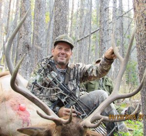 Black bear hunting Colorado